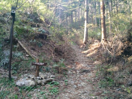 貝沢コース登山口